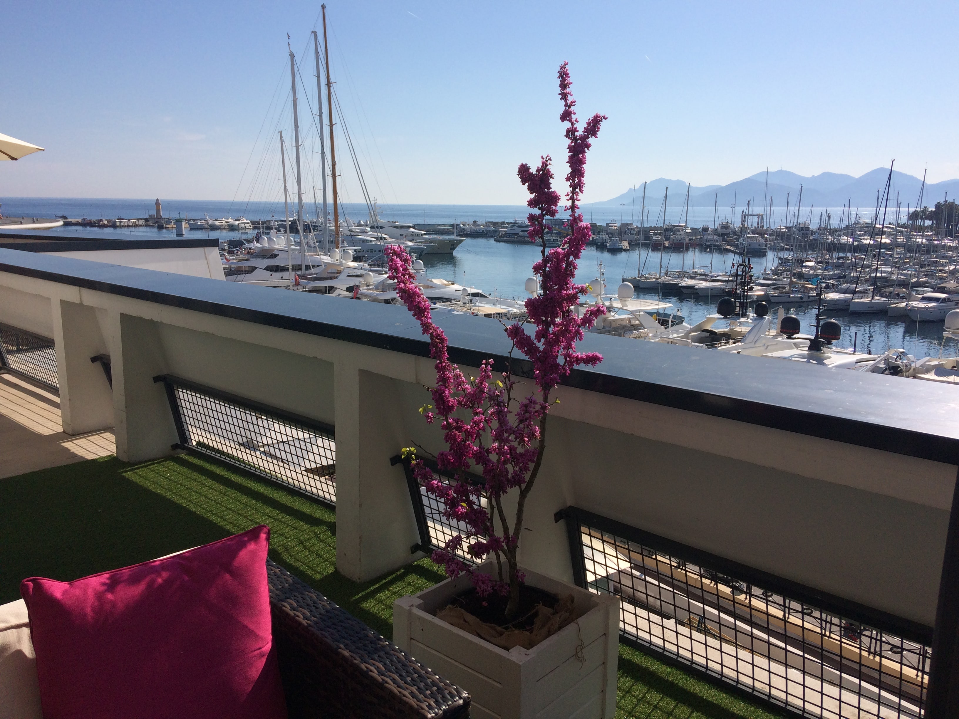 MIPTV 2017_Picture 14-min.JPG